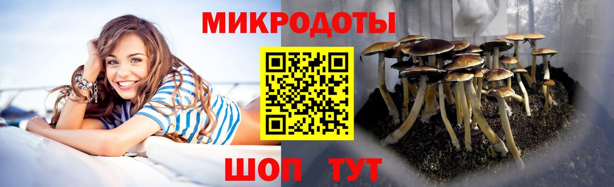 как найти закладки  Вход с VPN  Фролово  Псилоцибиновые грибы мицелий  Галлюциногенные грибы GOLDEN TEACHER 